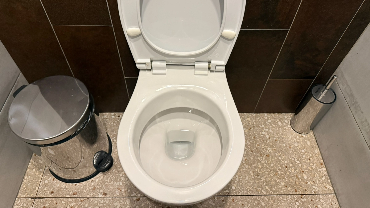 Как выбрать комфортный унитаз: нюансы, о которых 90% не задумываются, а потом жалеют - все отдают предпочтение этому варианту