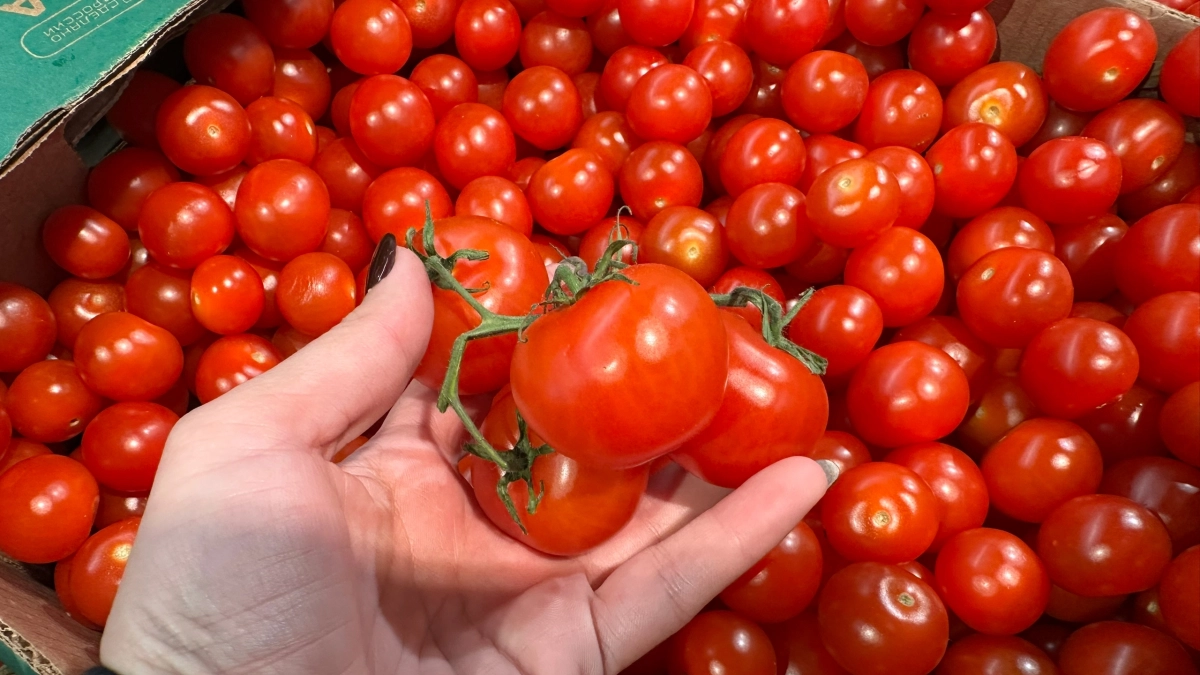 В Магните найдены те самые "летние" томаты: мясистые, сочные и стоят копейки - идеальны в салат и на бутерброды
