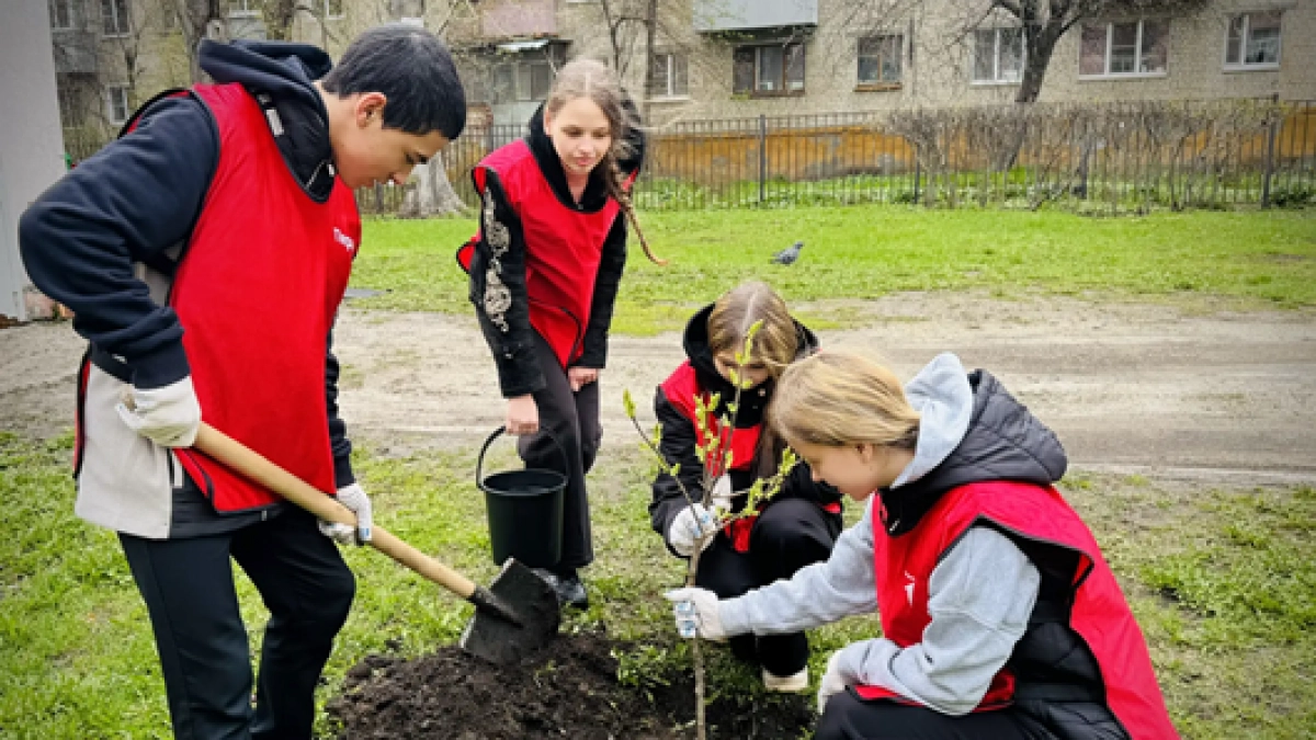 «Зелёная волна»: пензенцы высадили сотни деревьев в рамках масштабного субботника