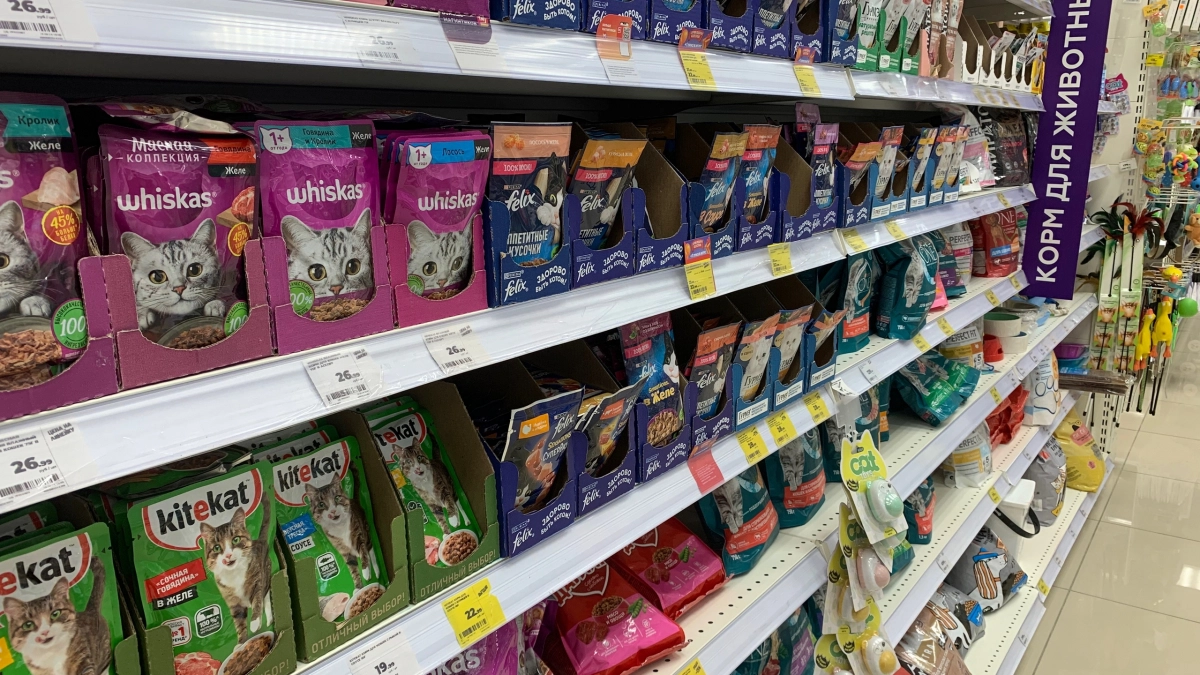 Не травите этим кошек: в Роскачестве назвали самые худшие марки кормов для питомцев