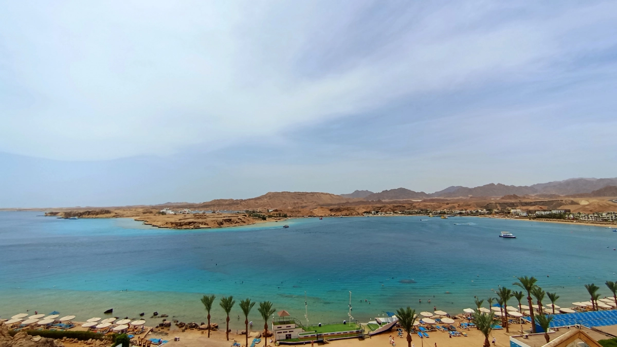 Дешевле Турции и сервис там королевский — куда турагенты советуют лететь этим летом на отдых