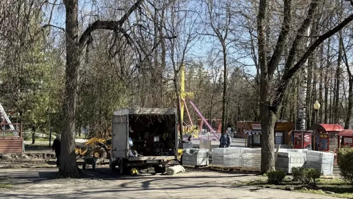 Олег Денисов: «Благоустройство парка Белинского не помешает комфортному отдыху пензенцев»