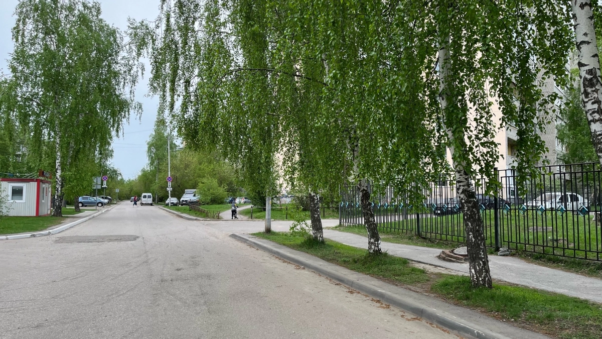 В Пензе заключили договор на покос травы на общую сумму в 10 млн рублей