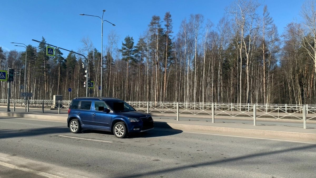 В Городищенском районе автомобиль врезался в лося и опрокинулся