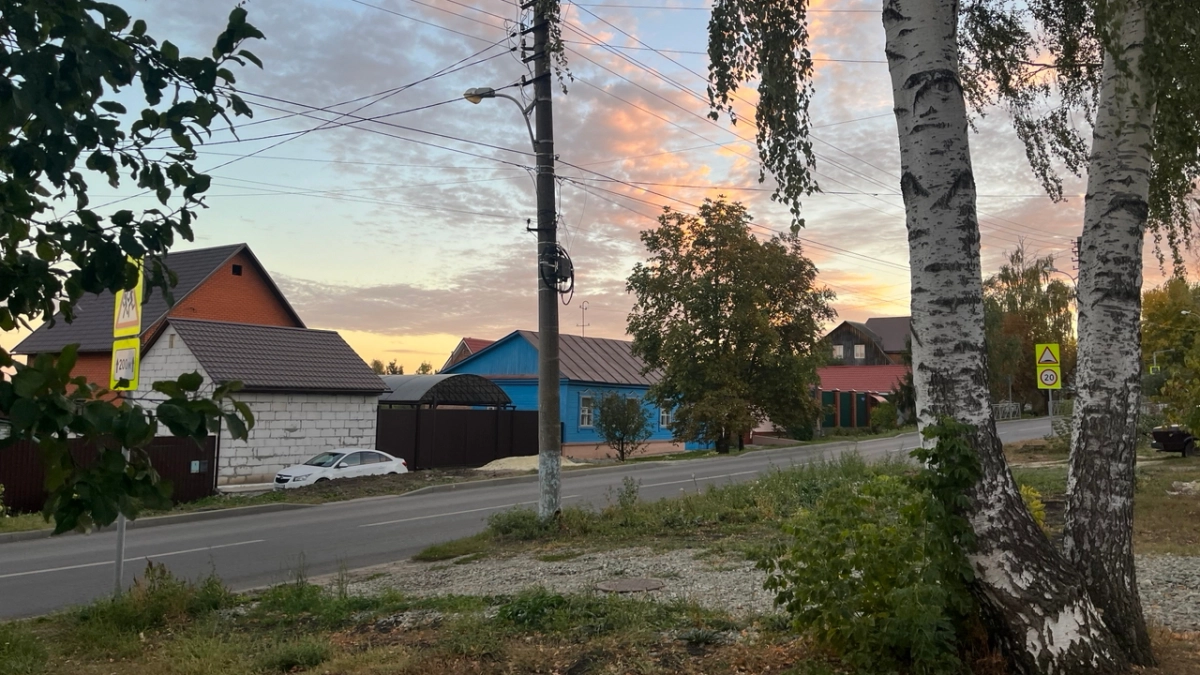Пензенскую область накрыла волна пыльцы березы 