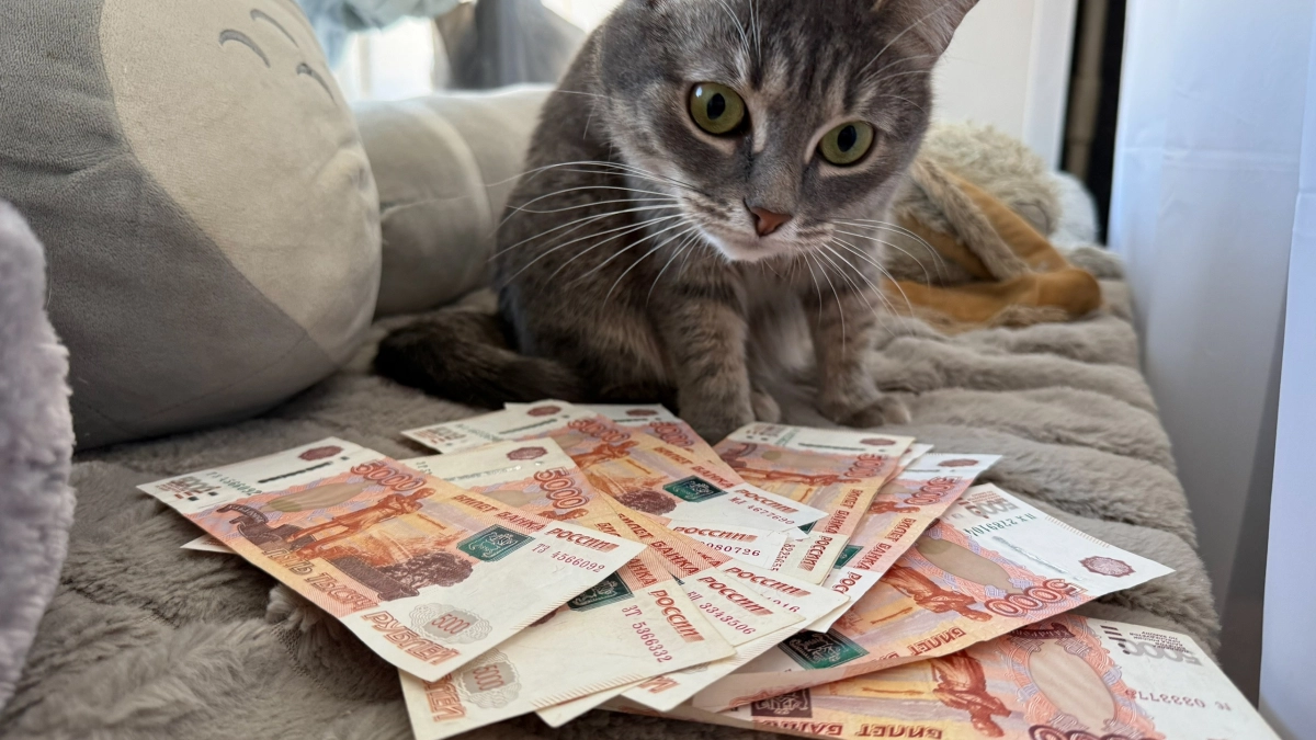 Мы беднеем не из-за низких зарплат: всё портит одна привычка, которую многие даже не замечают