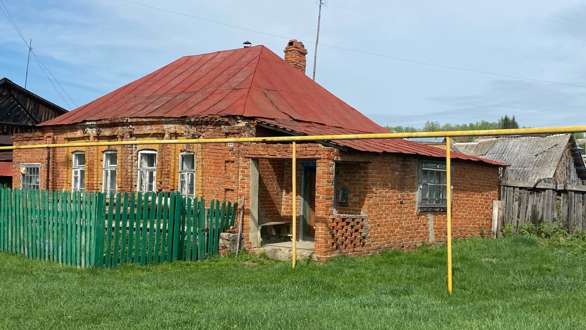 В русской глубинке нашли отшельников на болоте: как они живут среди волков и медведей - там давно работают свои законы