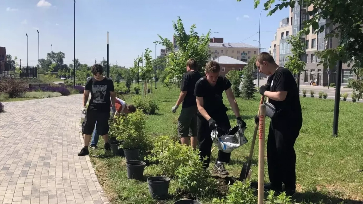 На набережной Суры высадили сотни гортензий