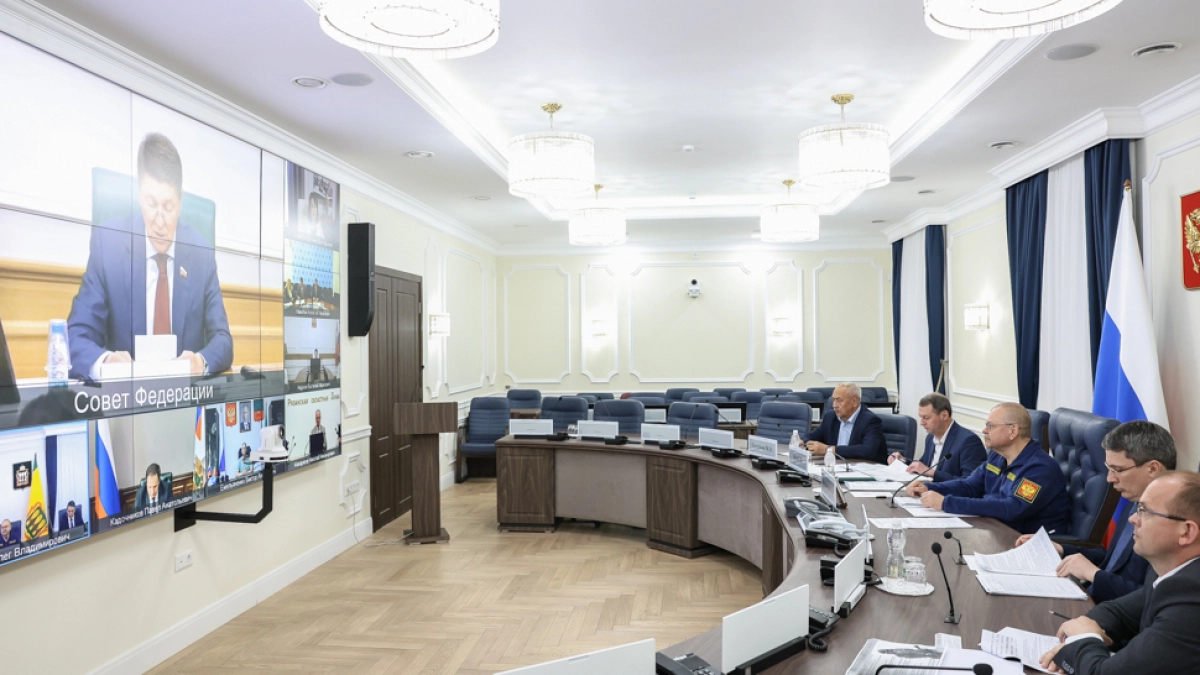 Губернатор Пензенской области представил опыт региона на Совете по местному самоуправлению в СФ