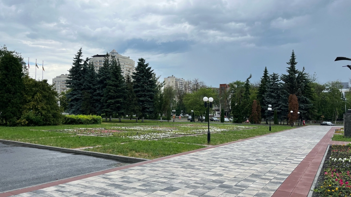 В городском бюджете не нашлось средств на борьбу со златкой