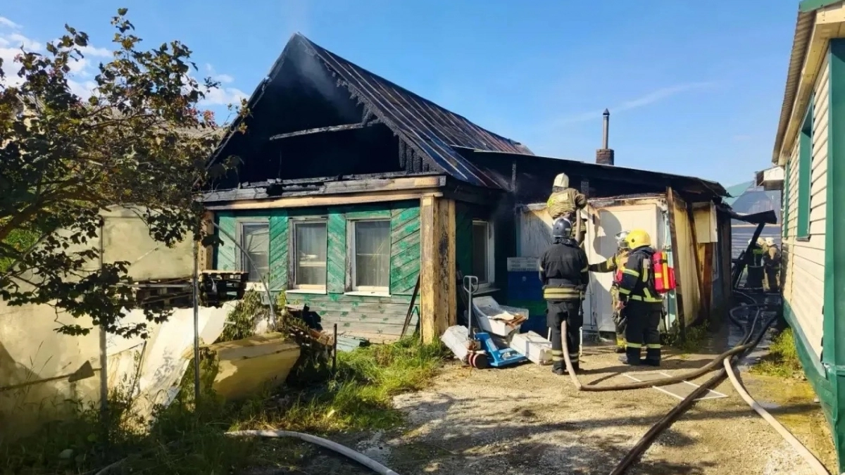 В пензенской Сосновке загорелись хозяйственные постройки: пострадала собака