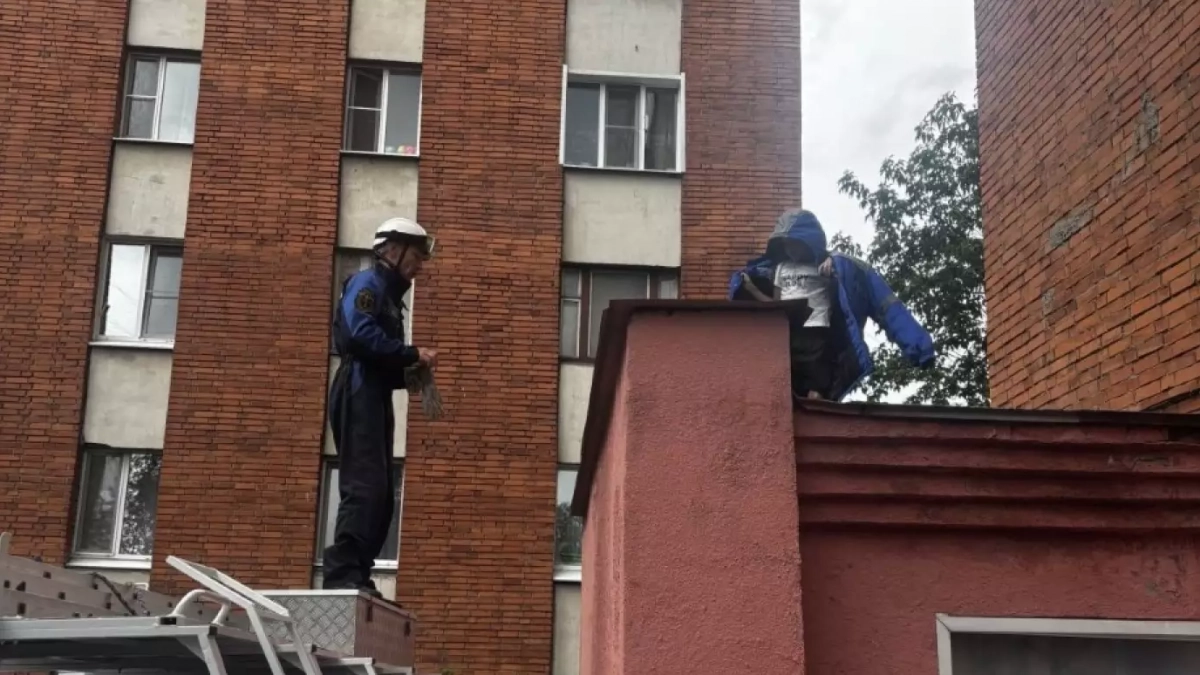 В Пензе спасатели сняли ребенка с огромной высоты
