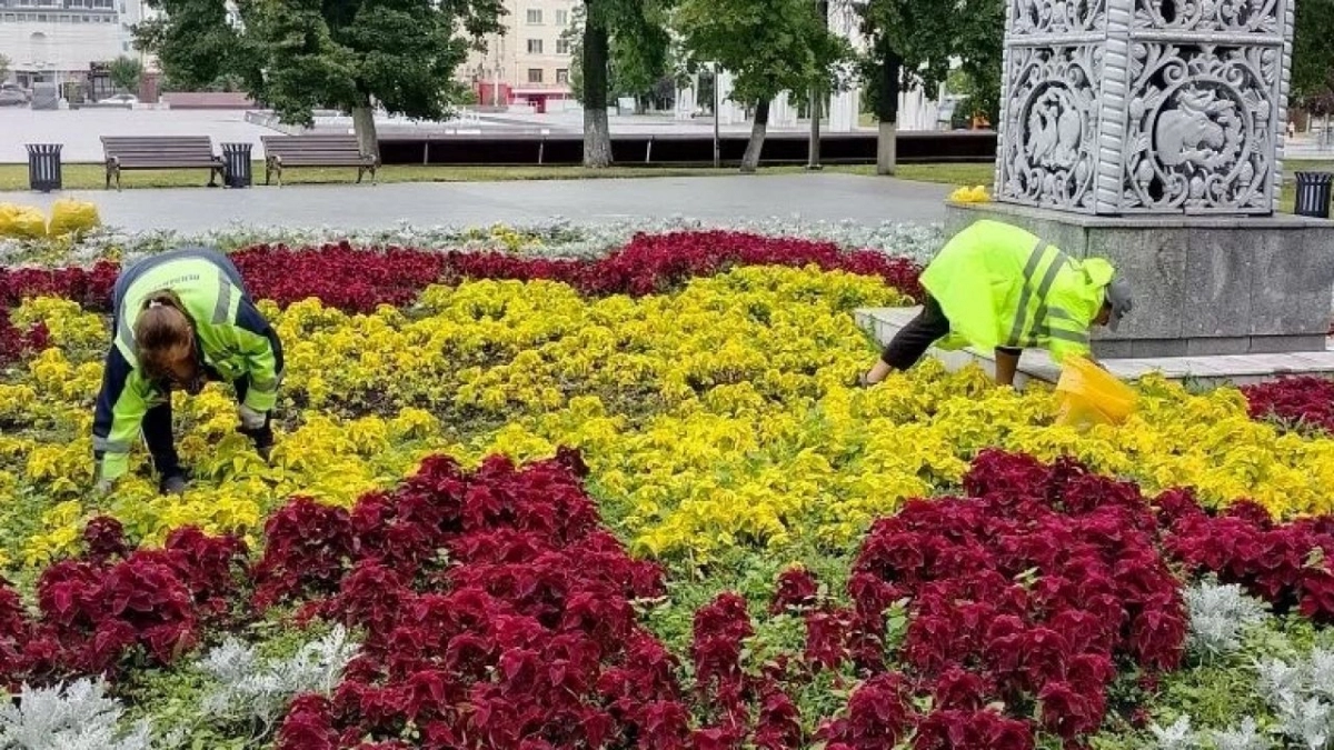 В Пензе вручную спасают городские цветники