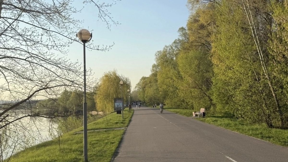 Закрытый город Заречный оказался в эпицентре карантина из-за жука-убийцы