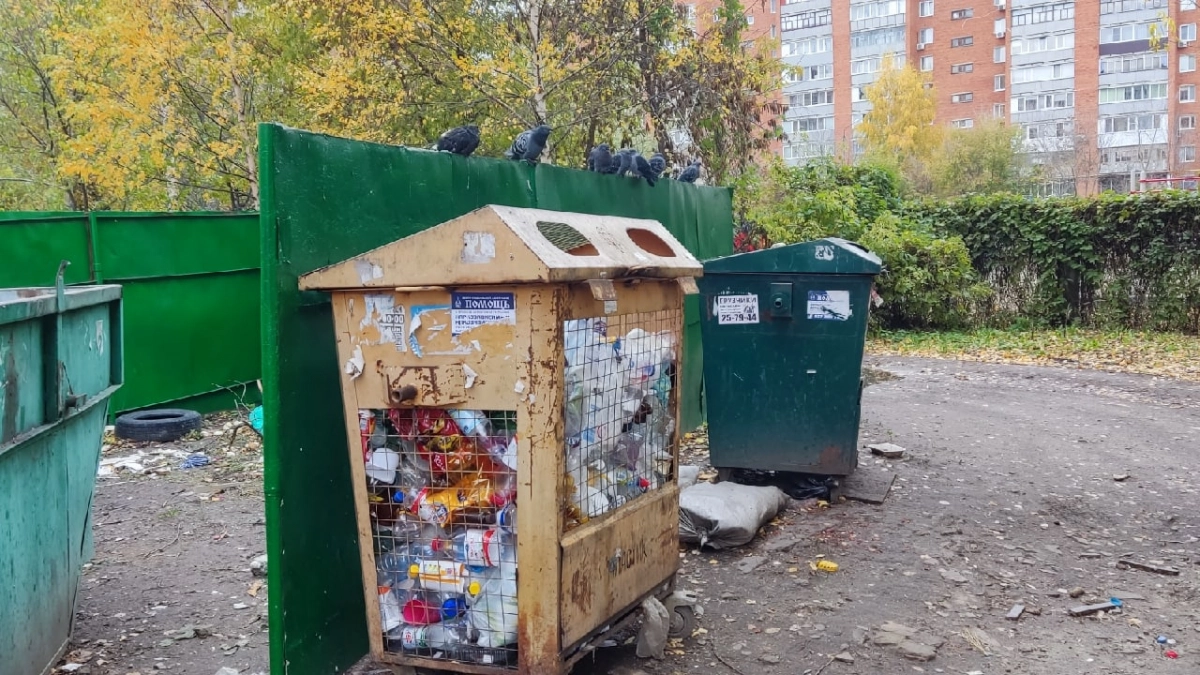 Двое пензенцев спасли пляж на ГПЗ от огня без помощи спасателей 