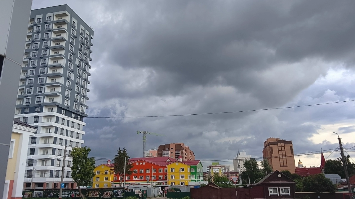 Пензенцев ждет день без изнуряющей жары: есть повод отметить День дачника