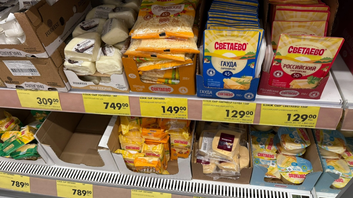 В "Чижике" найден московский сыр для гурманов: стоит копейки, но вкус и запах как у дорого пармезана