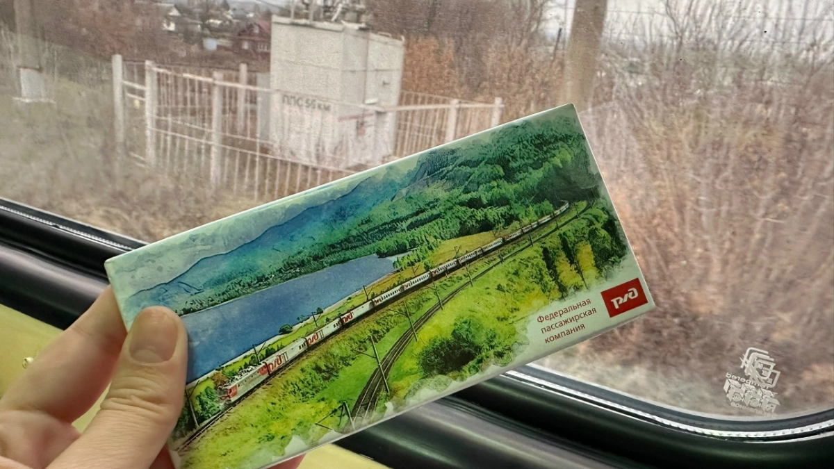 В Пензенской области запустили пригородный поезд-галерею о Лермонтове и Тарханах