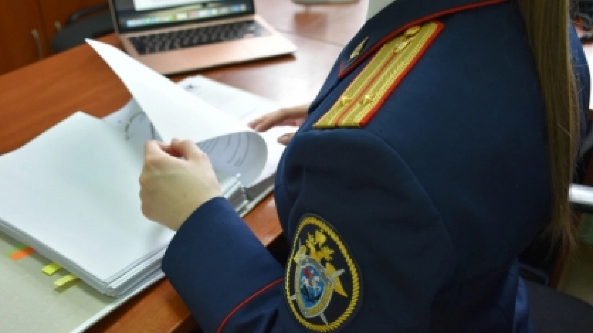 Скрыл почти 6 миллионов рублей: дело экс‑гендиректора из Никольского района уходит в суд
