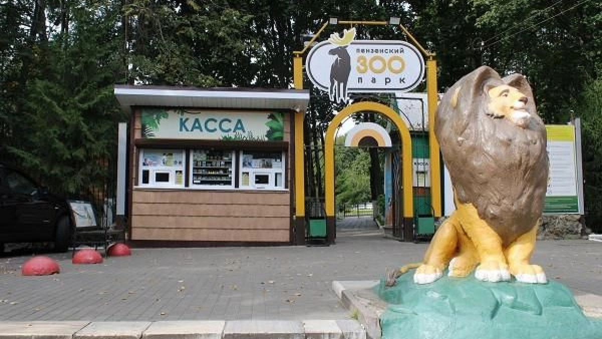 В Пензенский зоопарк привезли три совы, изъятые у уличных фотографов после обращений неравнодушных жителей