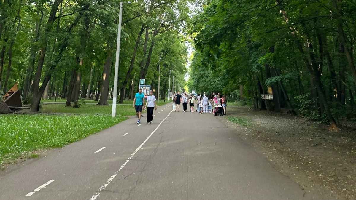 Зоолог Мордвинов: испанские слизни заполонят Пензу в течение двух-трех лет