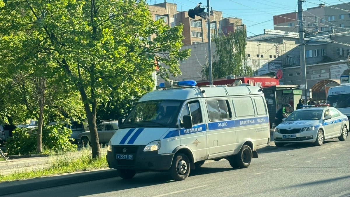 Получил чайником по голове и укус собаки: пять минут из жизни пензенца