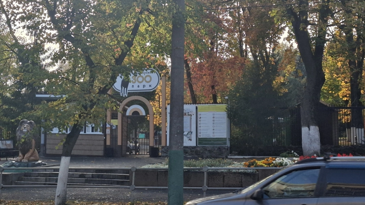 В Пензе многодетным хотят открыть бесплатный доступ в зоопарк и на аттракционы