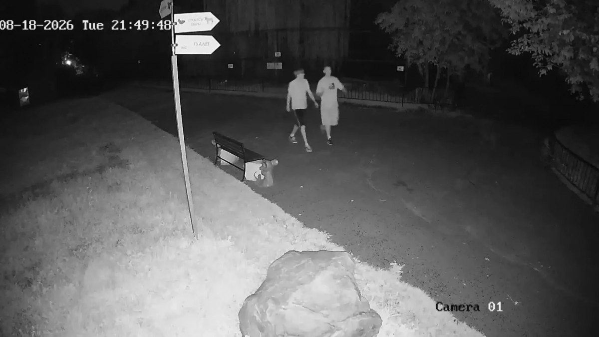 В Пензе подростки устроили опасный квест среди диких зверей