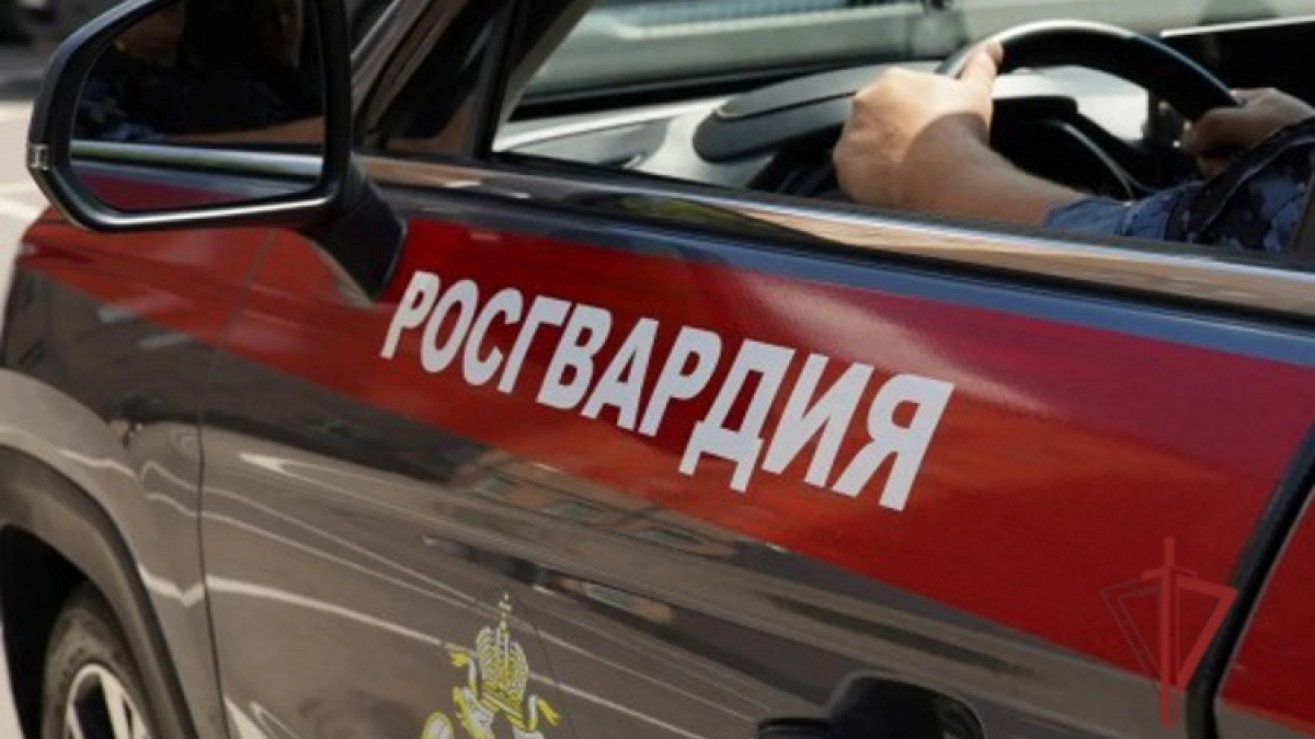 Джин для именинника: в Пензе женщина пошла на ограбление ради романтического подарка