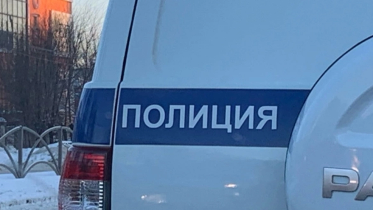 Житель Нижнеломовского района, приревновав сожительницу, пригрозил ей убийством топором