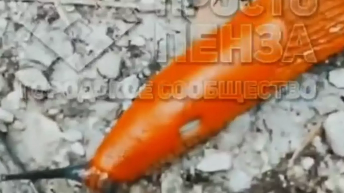 В Сети разлетелось видео с опасными слизнями в Ахунах