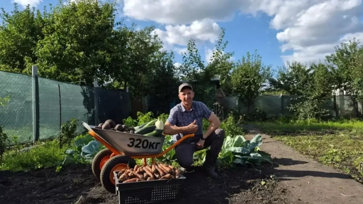 Глава Пензы Олег Денисов показал богатый урожай с семейной дачи