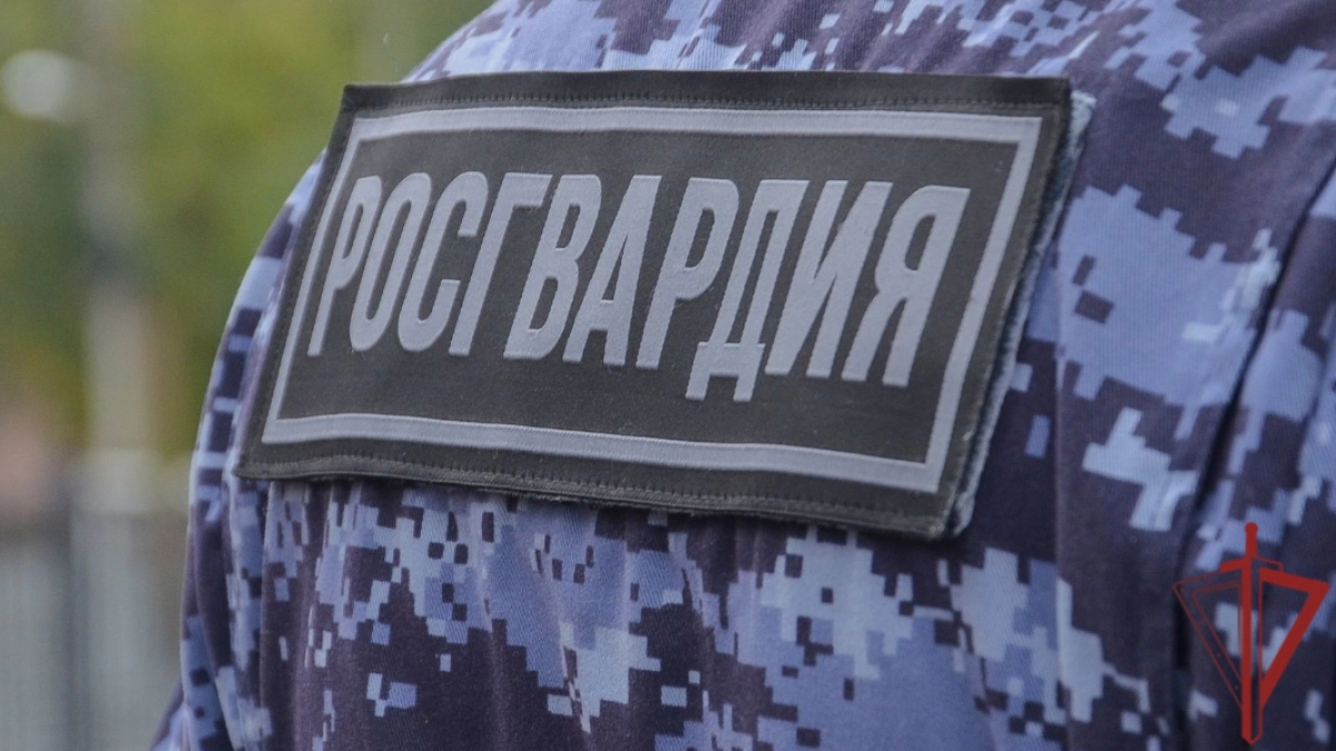 В Пензе неадекватная женщина выбежала на дорогу и начала раздеваться