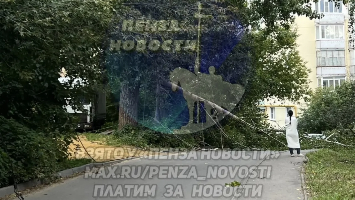 В Пензе на улице Силикатной рухнувшее дерево заблокировало дорогу и оборвало провода