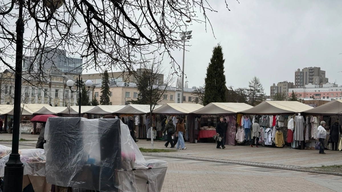 Пенза на максимальной скорости: городская сеть Wi-Fi охватила спальные районы, парки и исторический центр