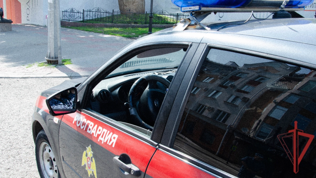 В Пензе росгвардейцы задержали мужчину, устроившего драку с товарищем из-за оплаты заказа