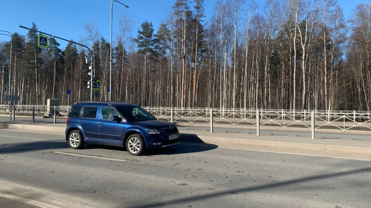 В Пензенской области до 15 ноября ограничили движение на участке трассы М-5 «Урал»