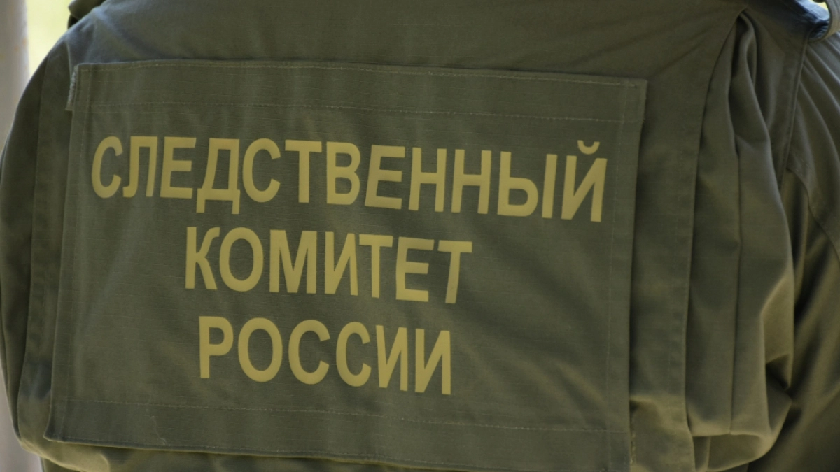 Житель Каменки предстанет перед судом за нападение на сотрудника полиции