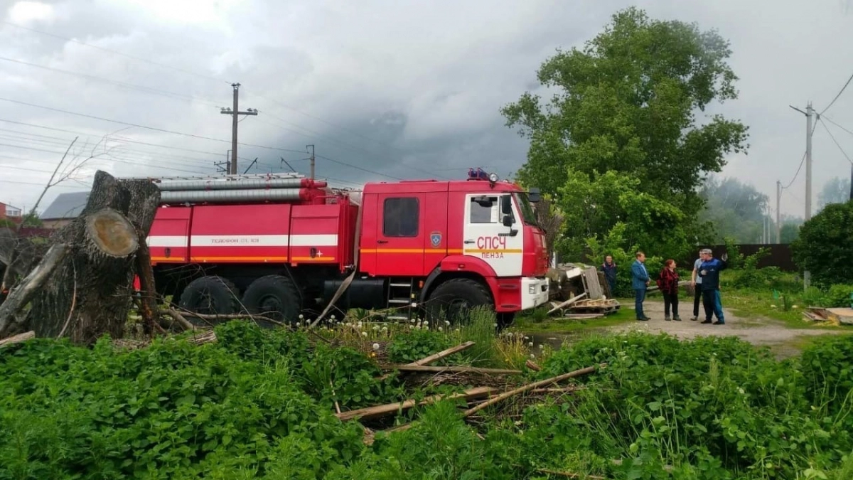 В Веселовке сгорело 350 квадратных метров: весь дом и надворные постройки