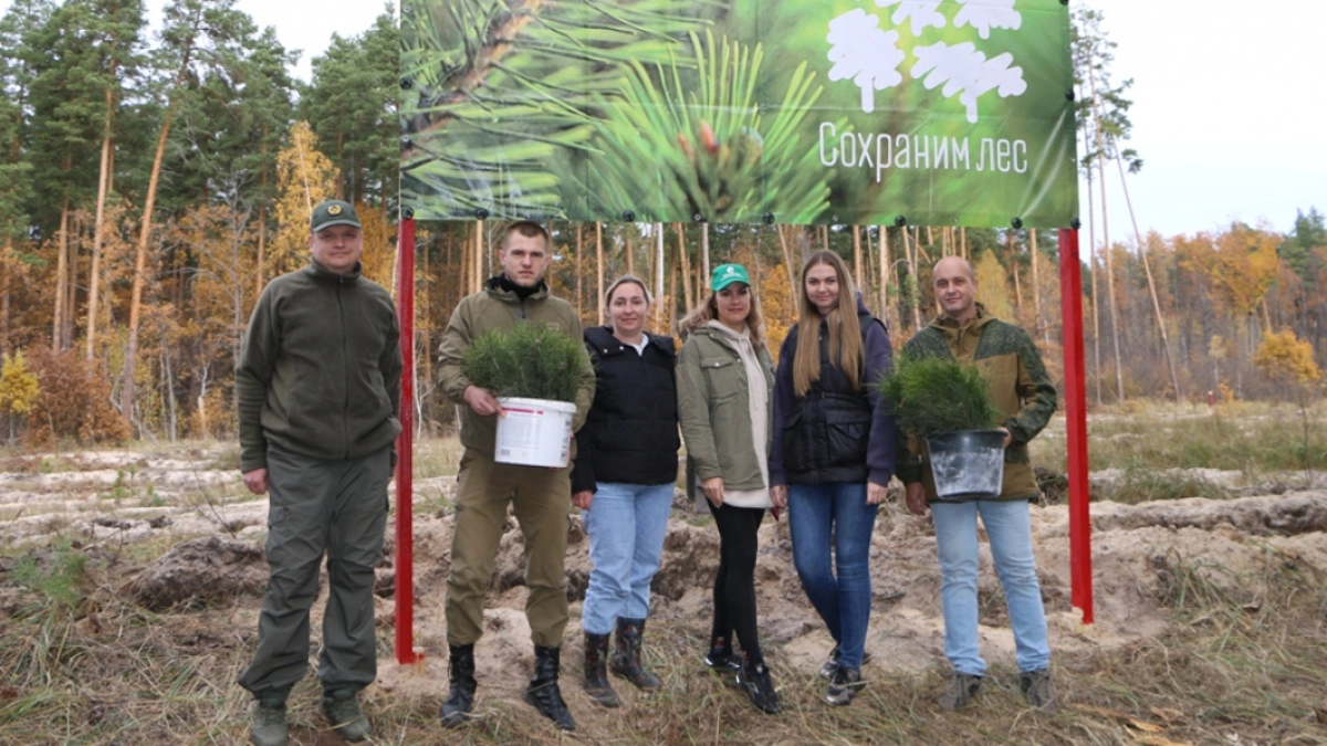 В Пензенской области в рамках акции «Сохраним лес» будет высажено свыше 50 тыс. деревьев