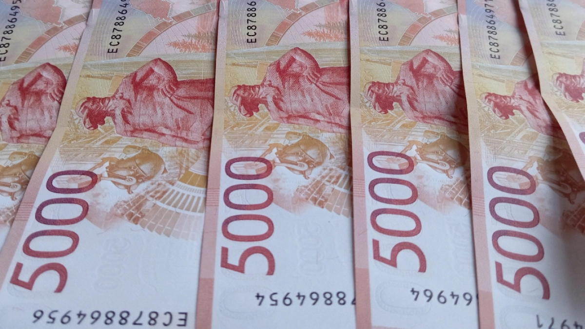 В Пензенском районе девочке, на которую напала стая собак, выплатили 50 тыс. рублей