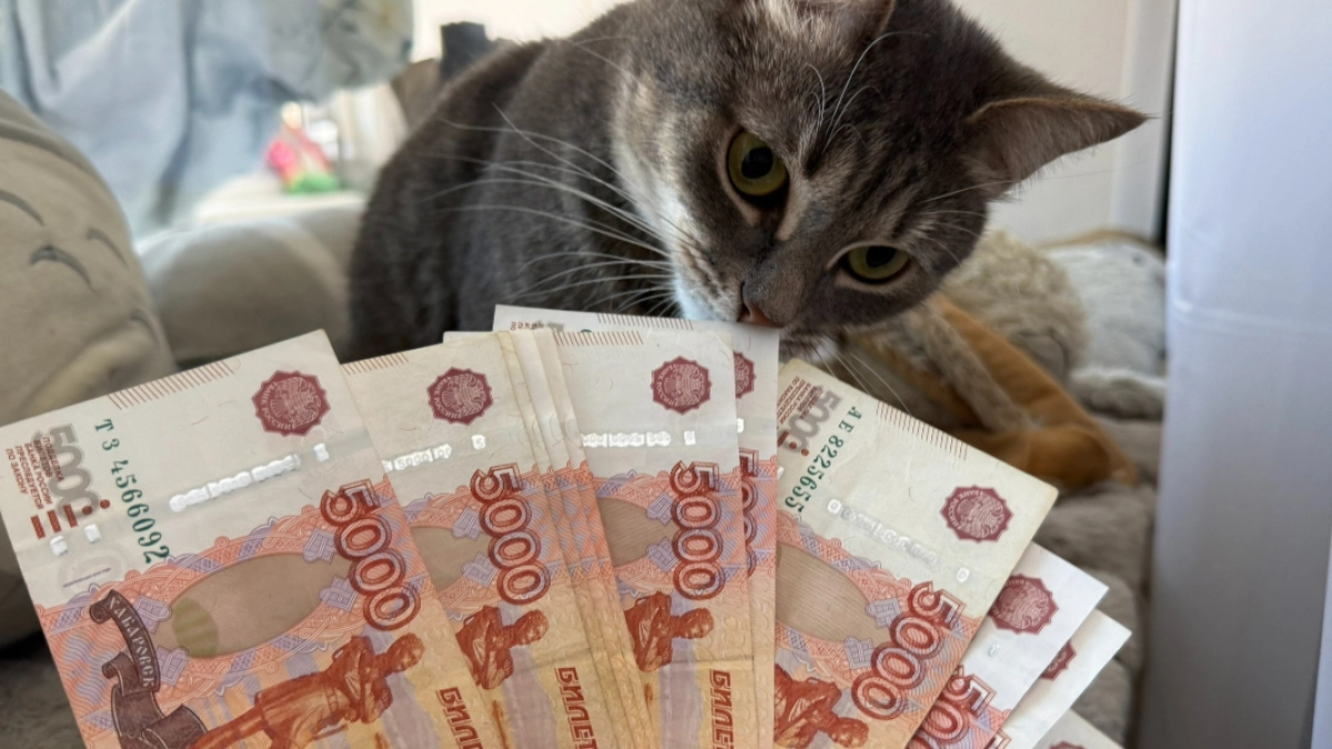 20-летняя жительница Заречного, обманутая «силовиком», лишилась более миллиона рублей