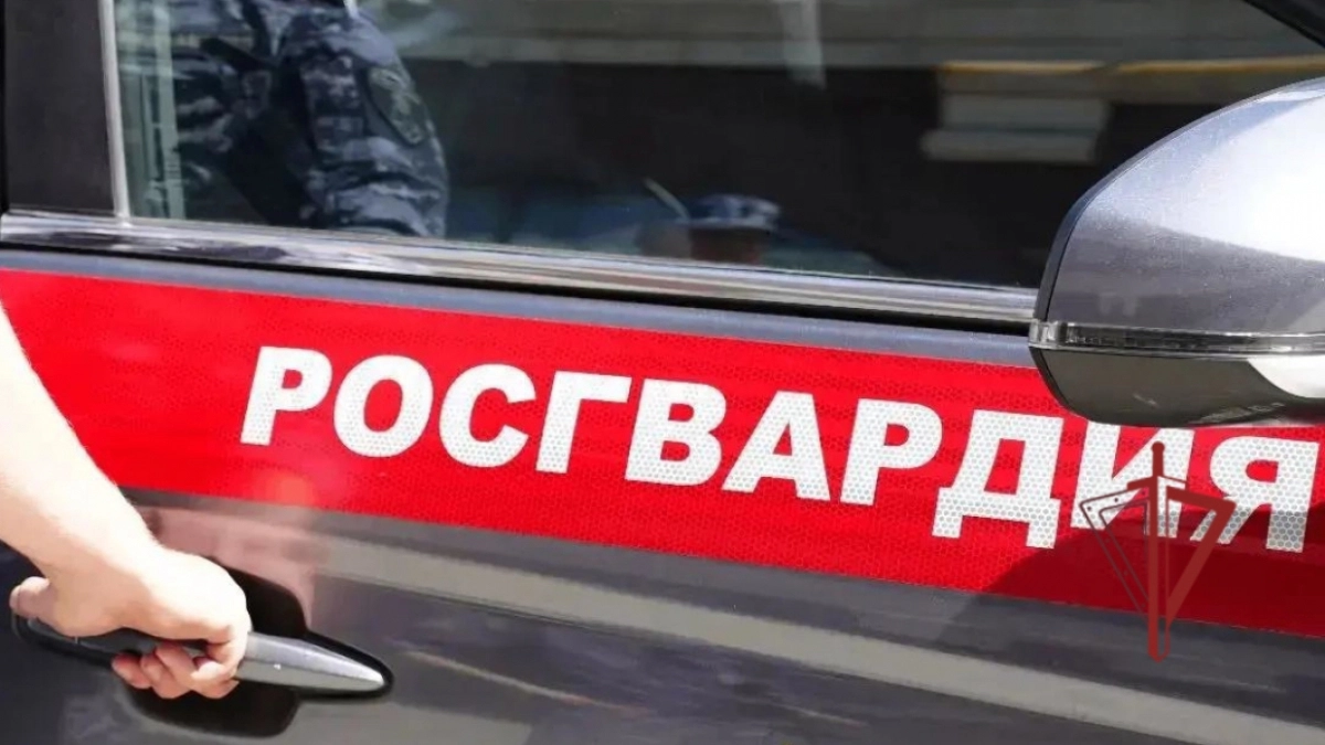 Росгвардейцы доставили в отдел полиции пензенца, пристававшего к кассиру супермаркета