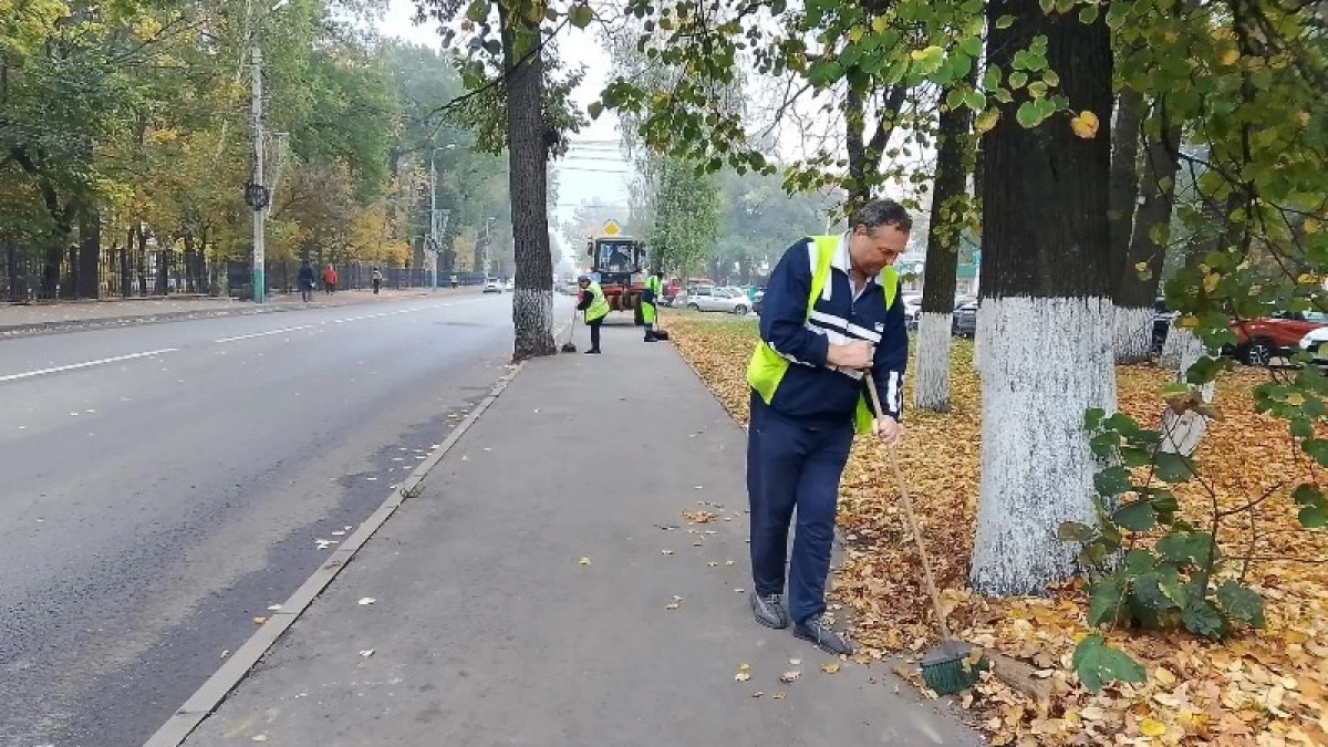 В Пензе в рамках месячника по благоустройству вывезли около 6000 кубометров мусора