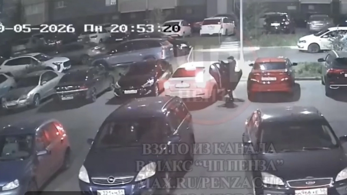 В Засечном ночной стрелок устроил переполох во дворе многоэтажки