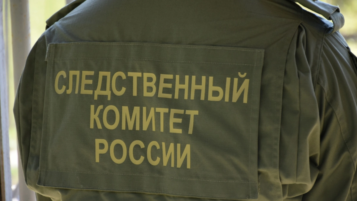 16-летнего жителя Пензы будут судить за незаконный оборот банковских карт
