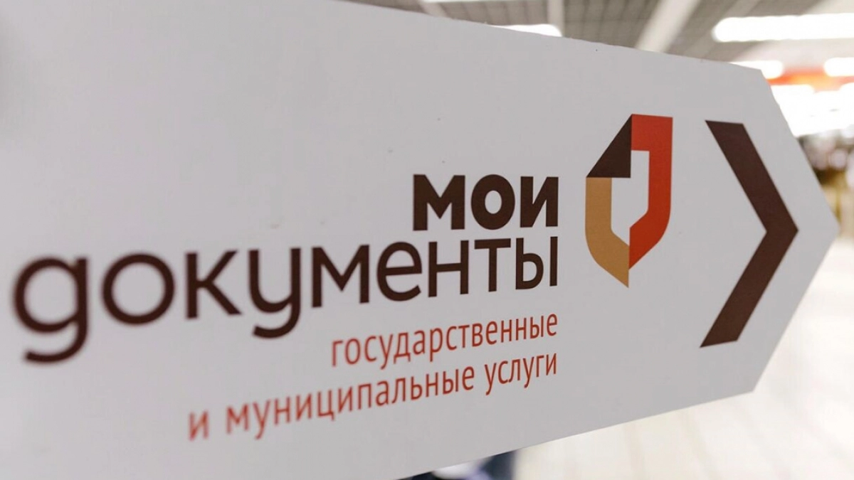 С начала года пензенские центры «Мои документы» оказали более 1,1 млн услуг