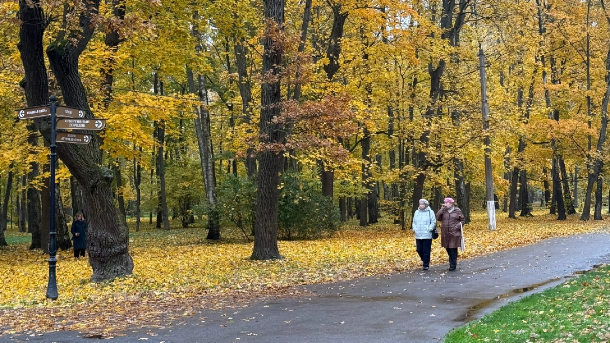 В Пензе на Олимпийской аллее и в Учительском сквере пройдет акарицидная обработка