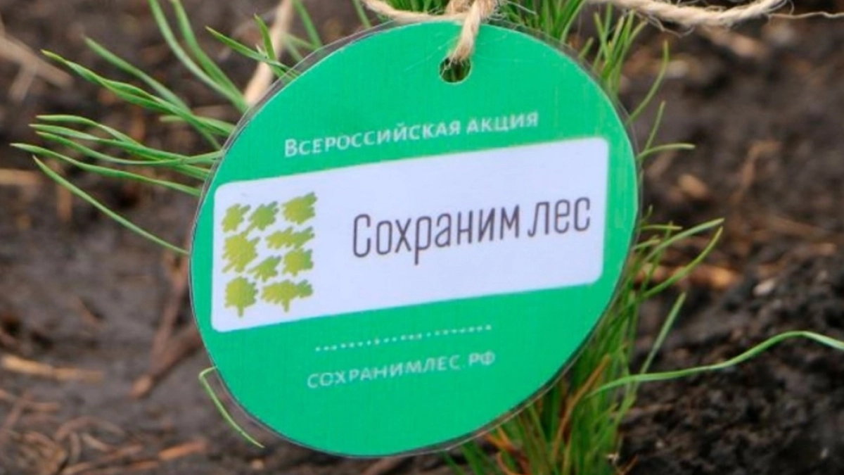 В Пензенской области за три дня будет высажено более 50 тысяч молодых деревьев