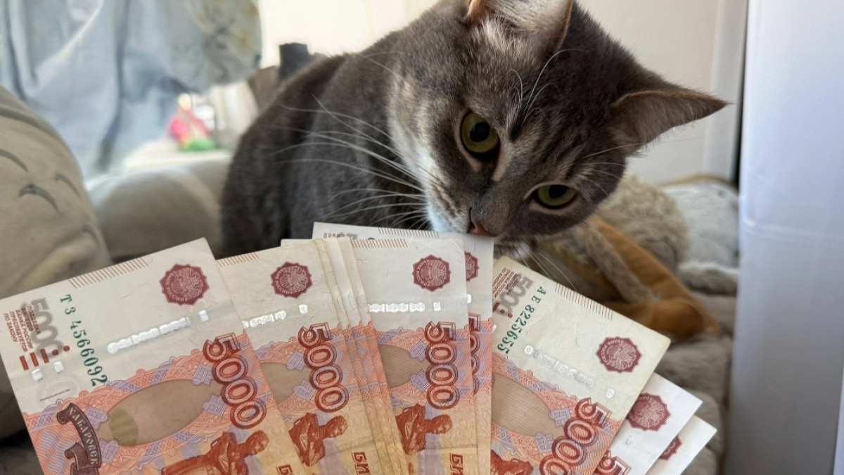 В 2026 году ежегодную семейную выплату получили свыше 10 тысяч пензенских родителей